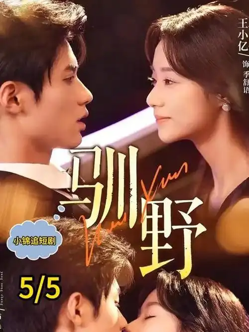 高潮影院行业剧集逆风之城海报